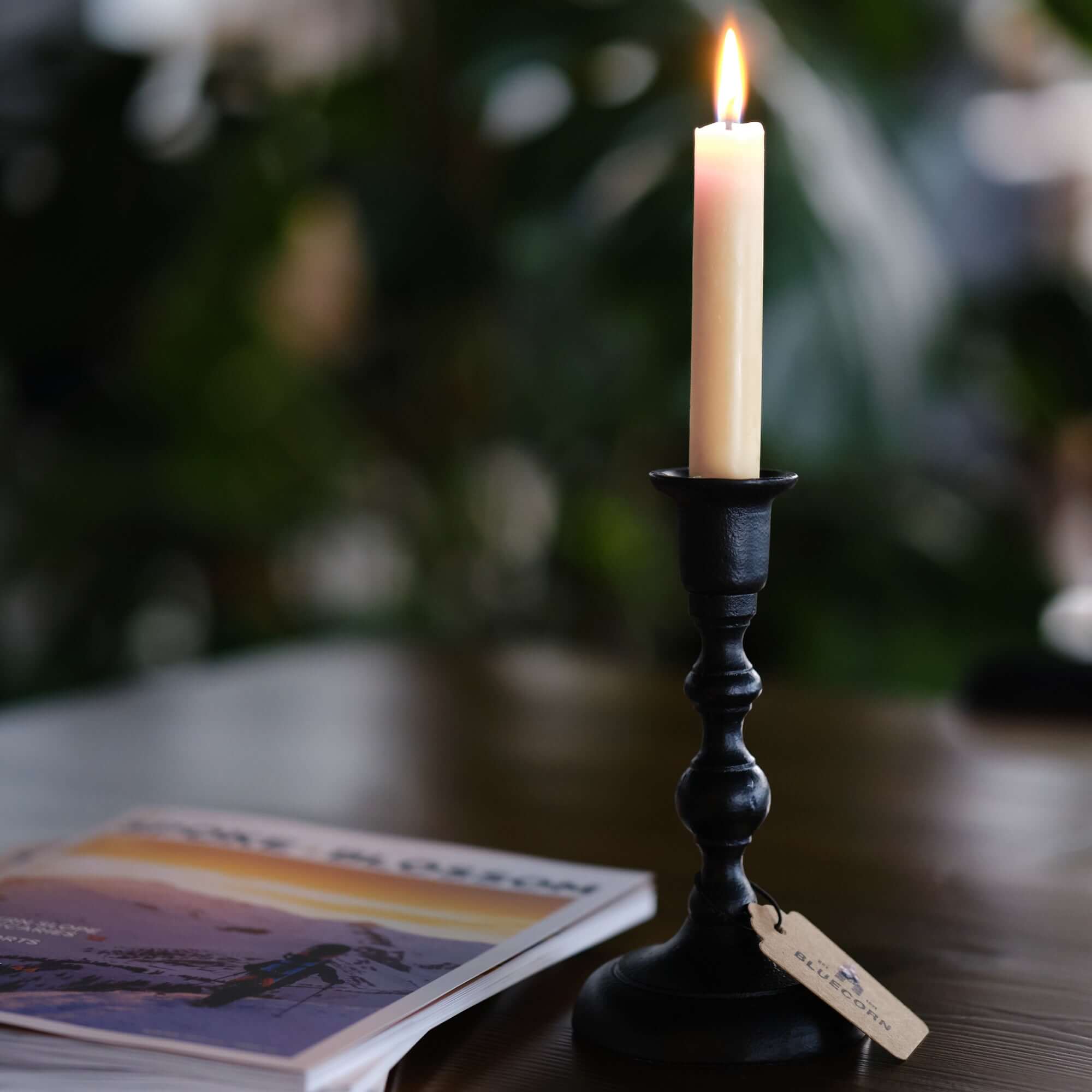 Hand-Dipped Beeswax Taper Candles - Bulk 4-Pair Bundle | Heirloom Boulevard