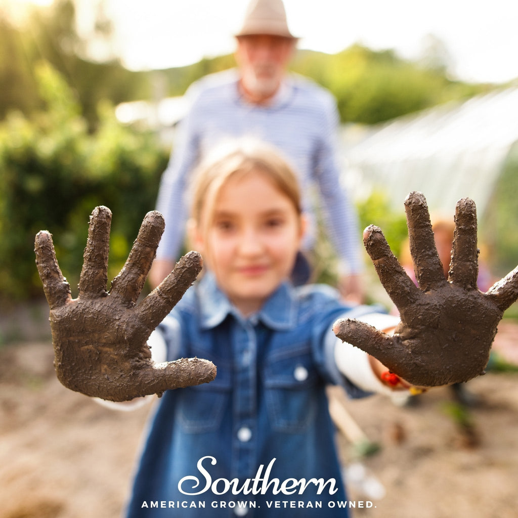 Southern Seeds Kids Garden Seed Collection – 10 Varieties | Heirloom Boulevard