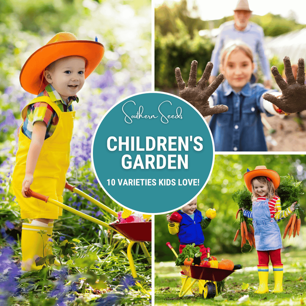 Southern Seeds Kids Garden Seed Collection – 10 Varieties | Heirloom Boulevard