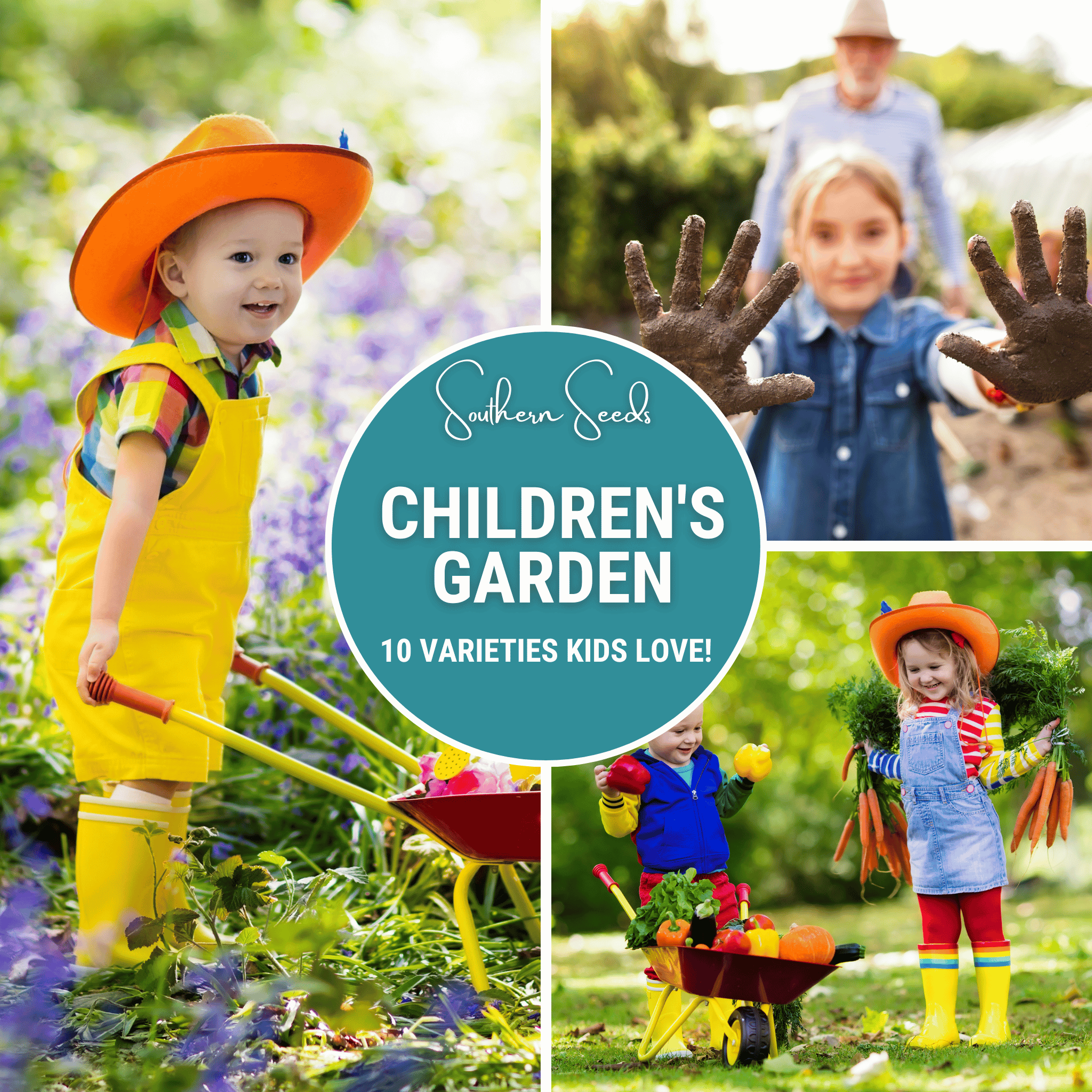 Southern Seeds Kids Garden Seed Collection – 10 Varieties | Heirloom Boulevard