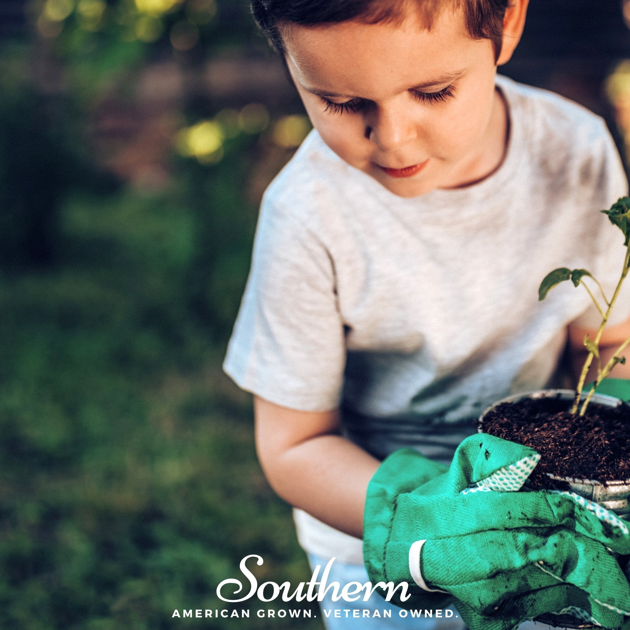 Southern Seeds Kids Garden Seed Collection – 10 Varieties | Heirloom Boulevard