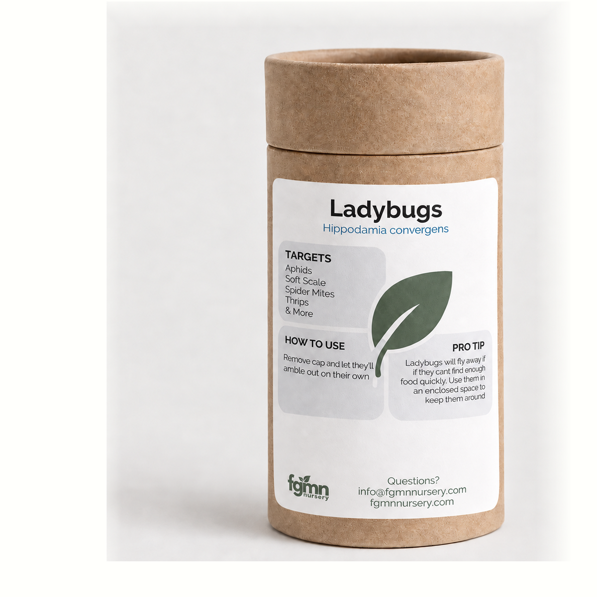 FGMN Nursery Ladybugs 5X-Large — 72k Ladybugs | Heirloom Boulevard