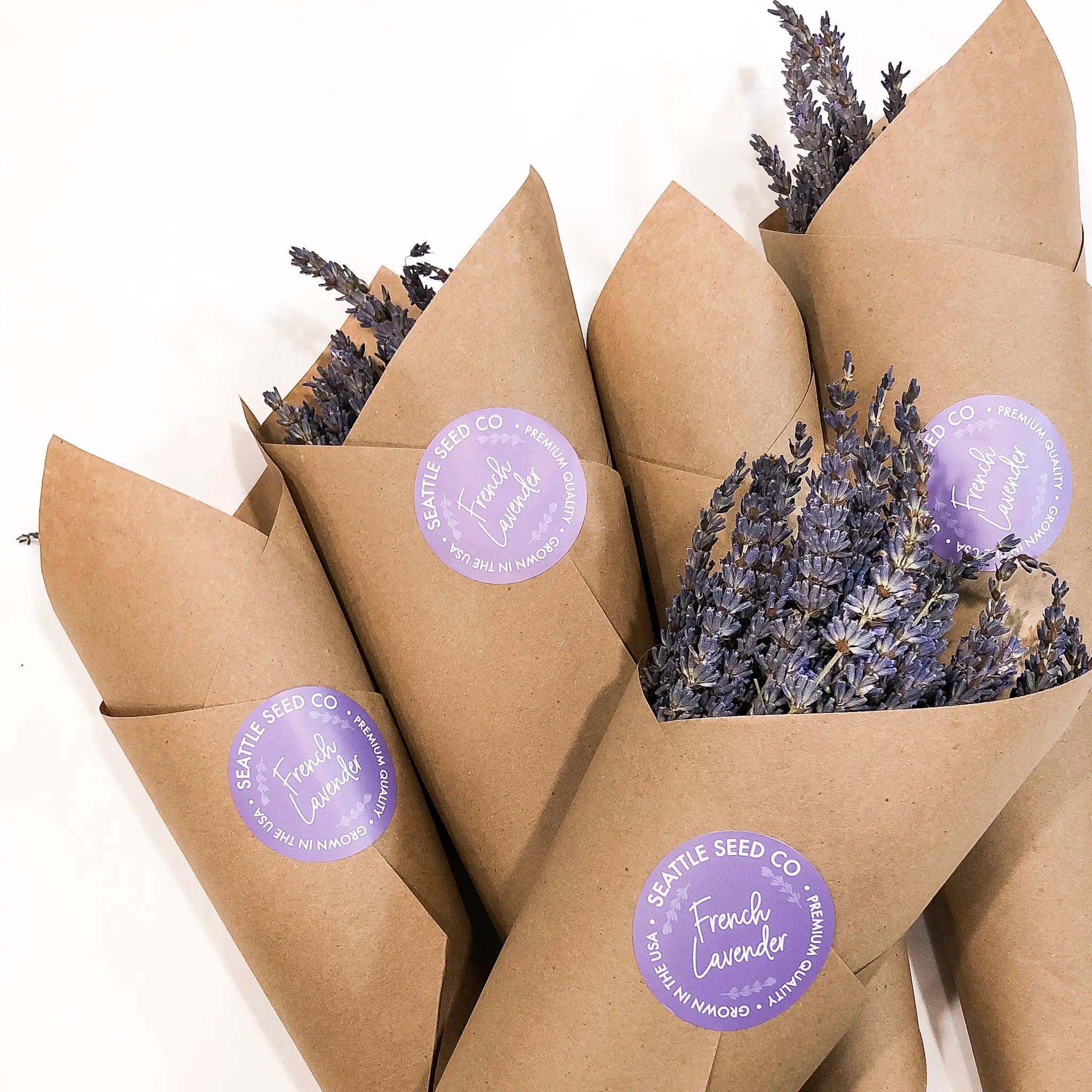 Seattle Seed Company Fragrant Dried French Lavender Flowers Home Decor | Heirloom Boulevard