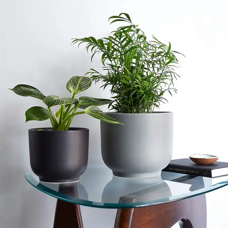 LBE Design Bell Planter | Heirloom Boulevard