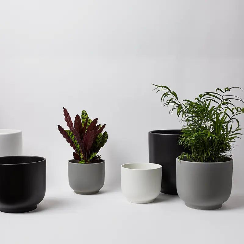 Lbe Design LBE Design Bell Planter | Heirloom Boulevard