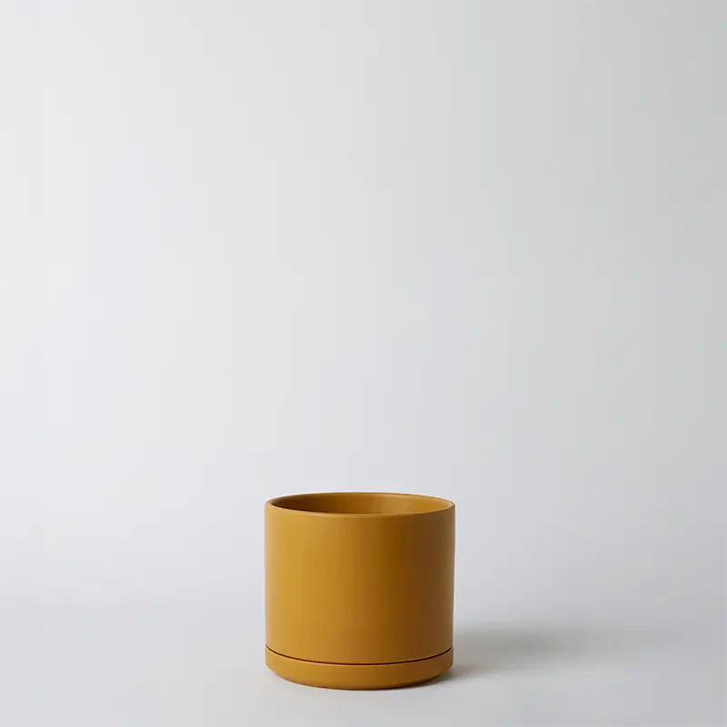 LBE Design Solid Goods - Ceramic Cylinder with Saucer Mustard 6 Inch | Heirloom Boulevard
