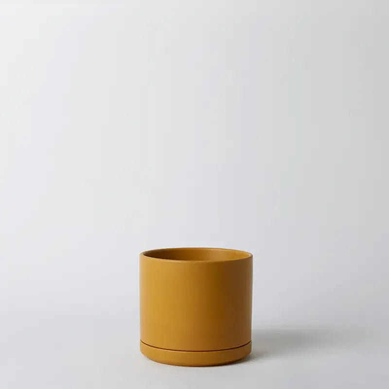LBE Design Solid Goods - Ceramic Cylinder with Saucer Mustard 8 Inch | Heirloom Boulevard