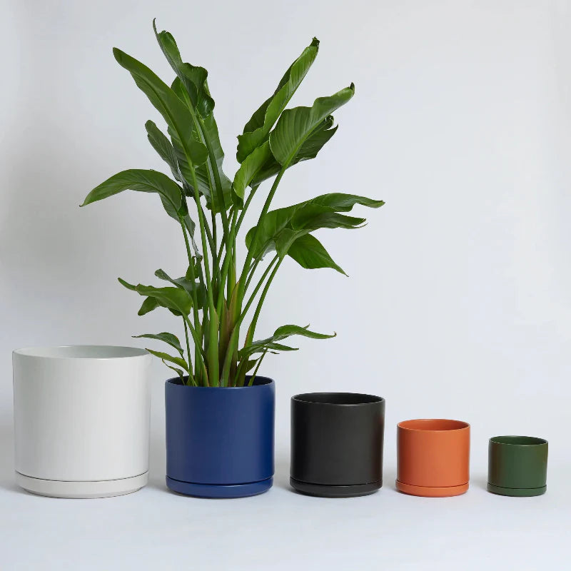 LBE Design Solid Goods - Ceramic Cylinder with Saucer | Heirloom Boulevard