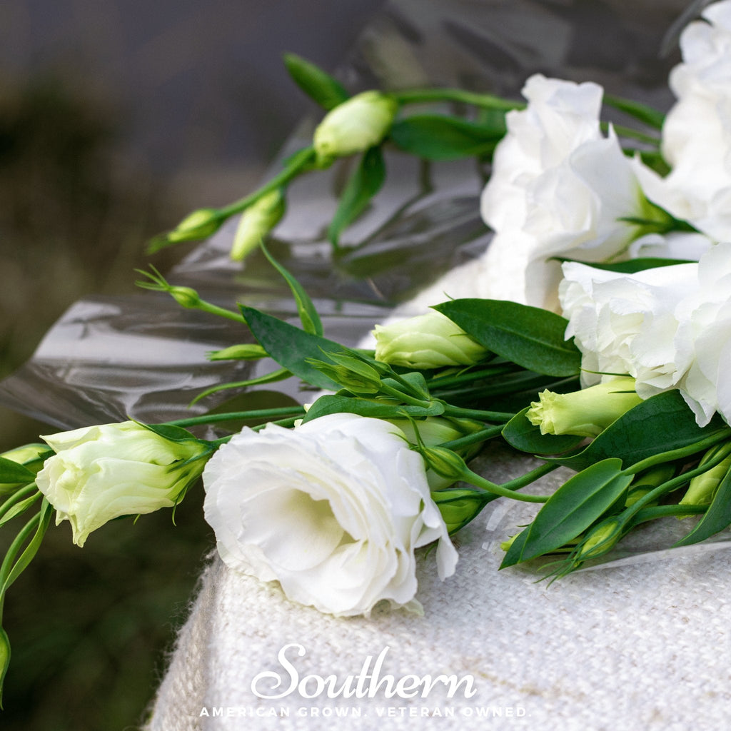 Southern Seeds Sapphire White Lisianthus – 25 Seeds | Heirloom Boulevard