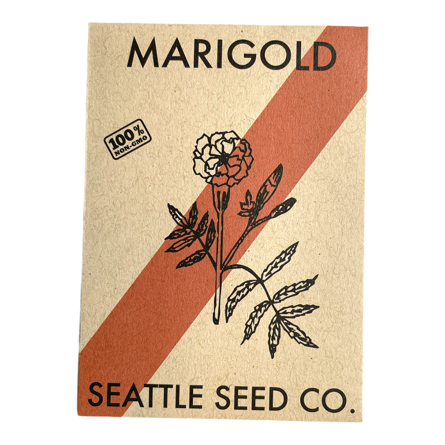 Seattle Seed Company Marigold - Crackerjack | Heirloom Boulevard