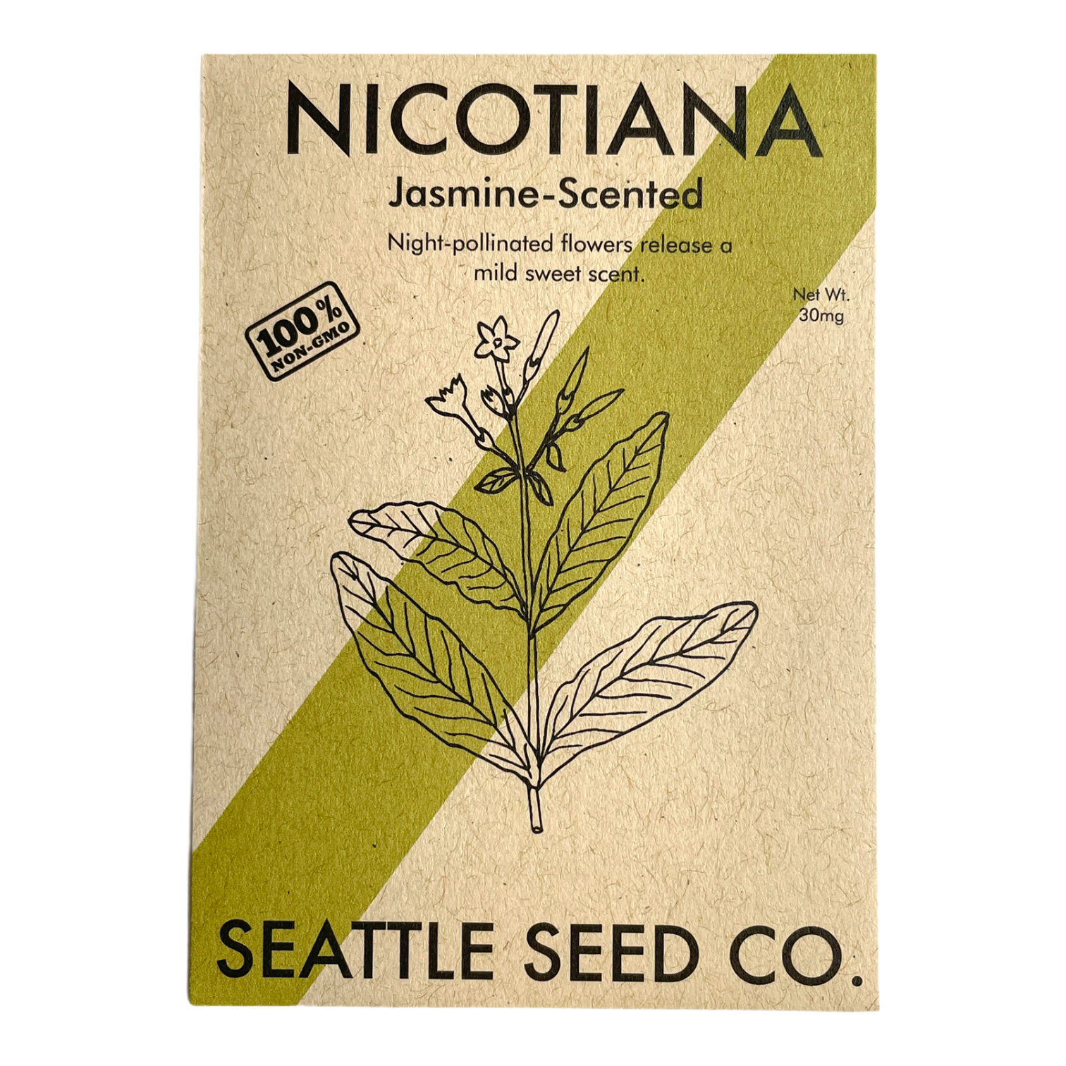 Seattle Seed Company Nicotiana - Jasmine Scented | Heirloom Boulevard