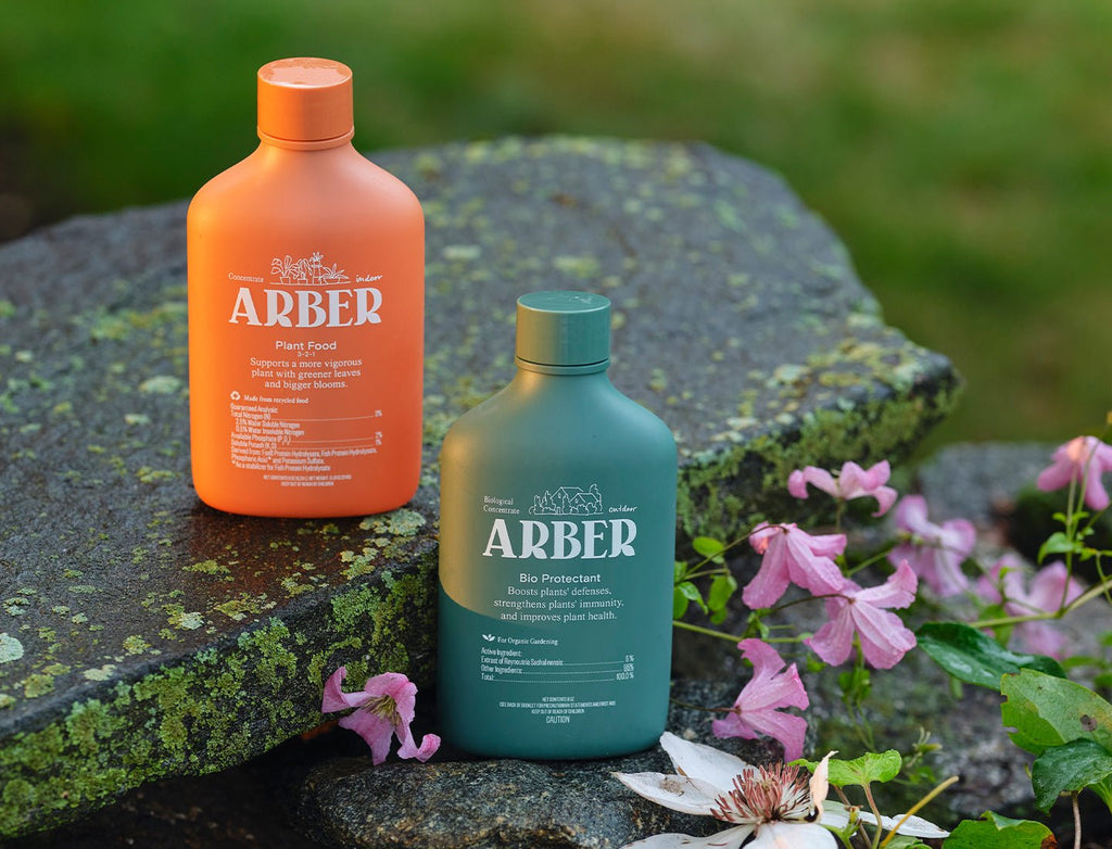 Arber Organic Nutrition & Health Starter Set | Heirloom Boulevard