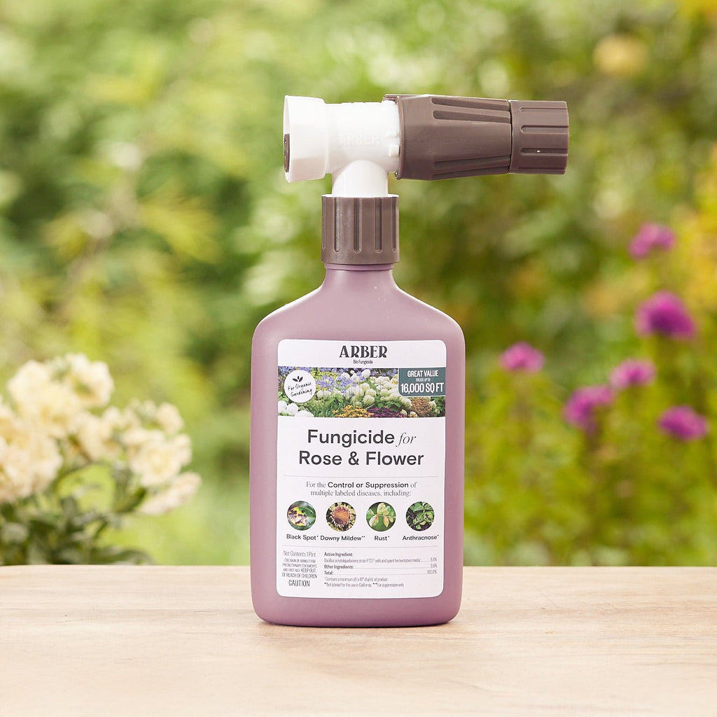 Arber Organic Fungicide for Rose & Flower