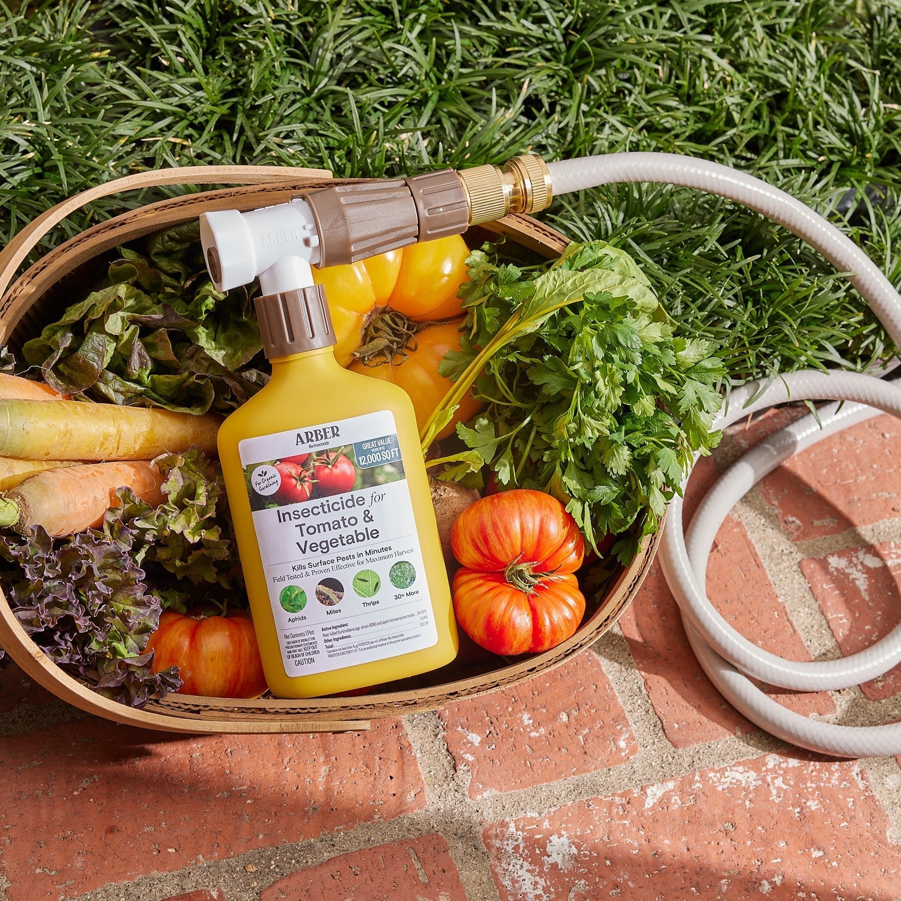 Arber Organic Insecticide for Tomato & Vegetable | Heirloom Boulevard