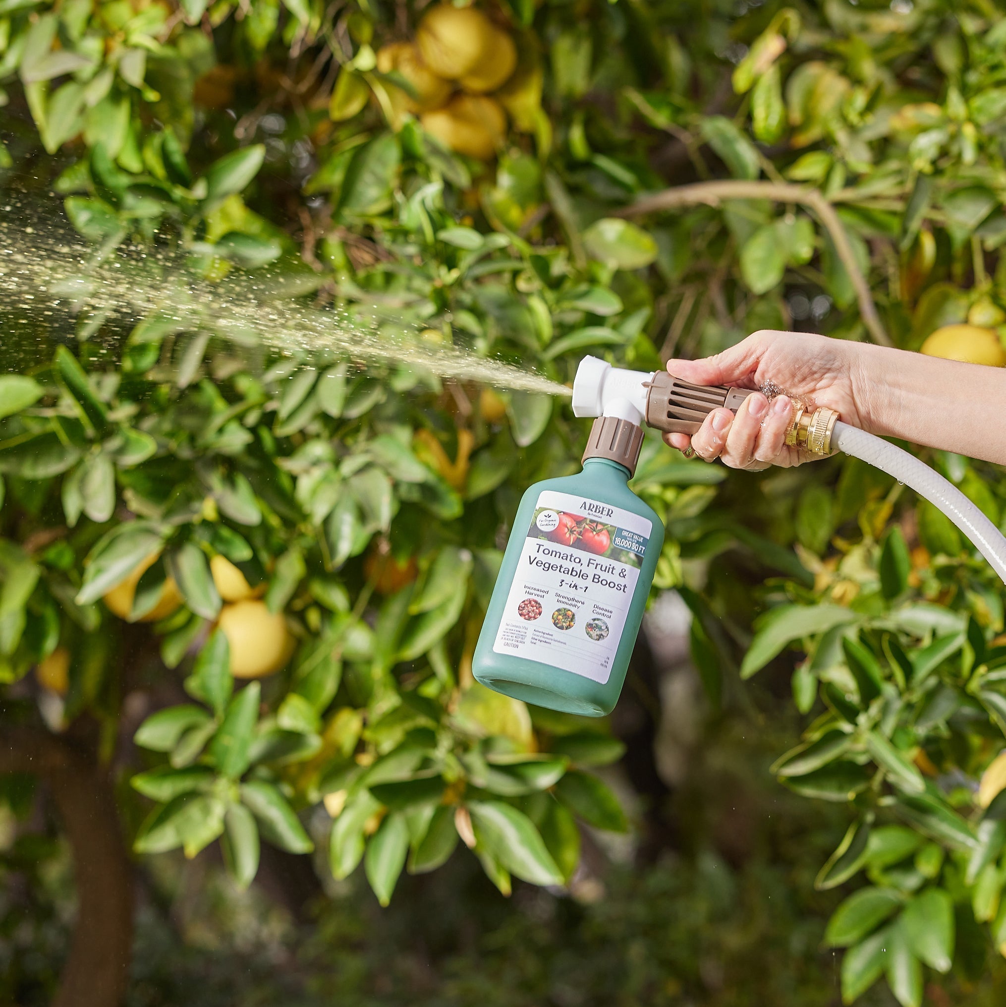 Arber Organic Tomato, Fruit & Vegetable Boost