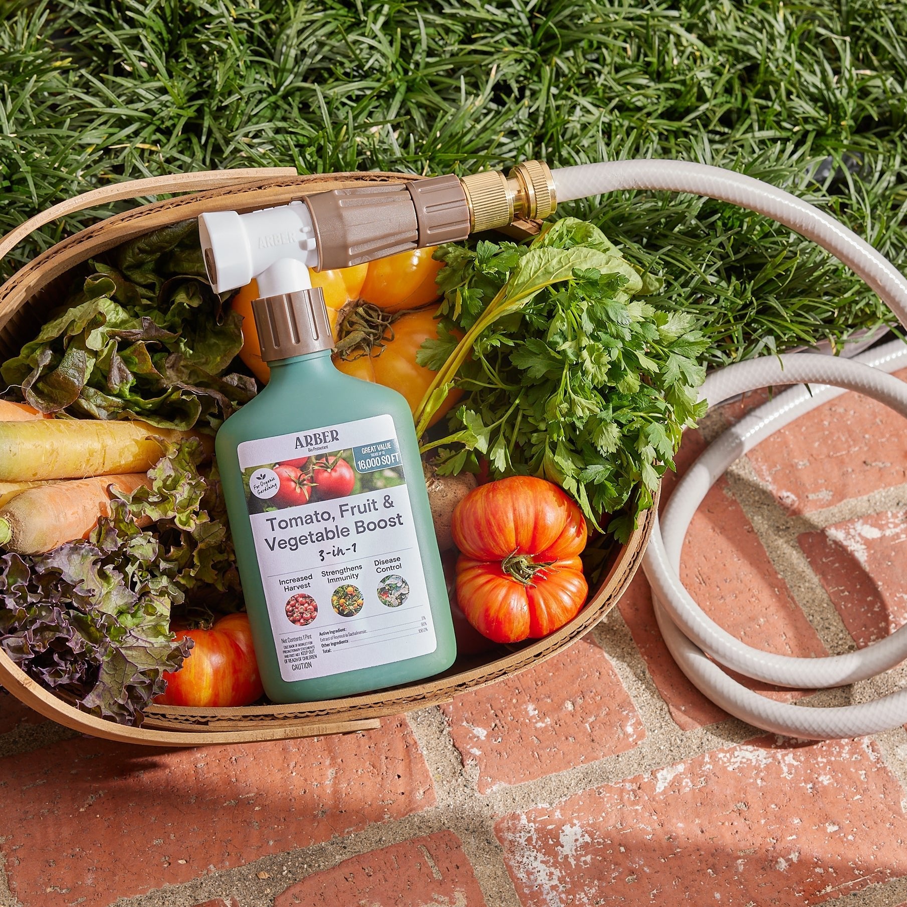 Arber Organic Tomato, Fruit & Vegetable Boost