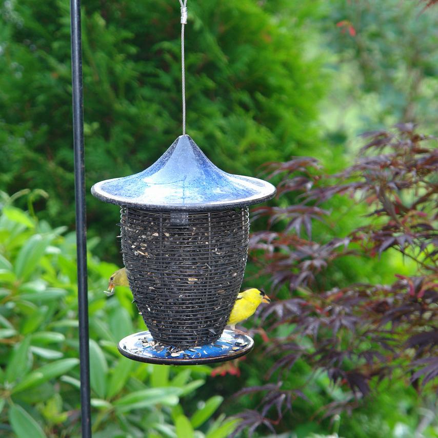 Byer of Maine Pagoda Bird Feeder