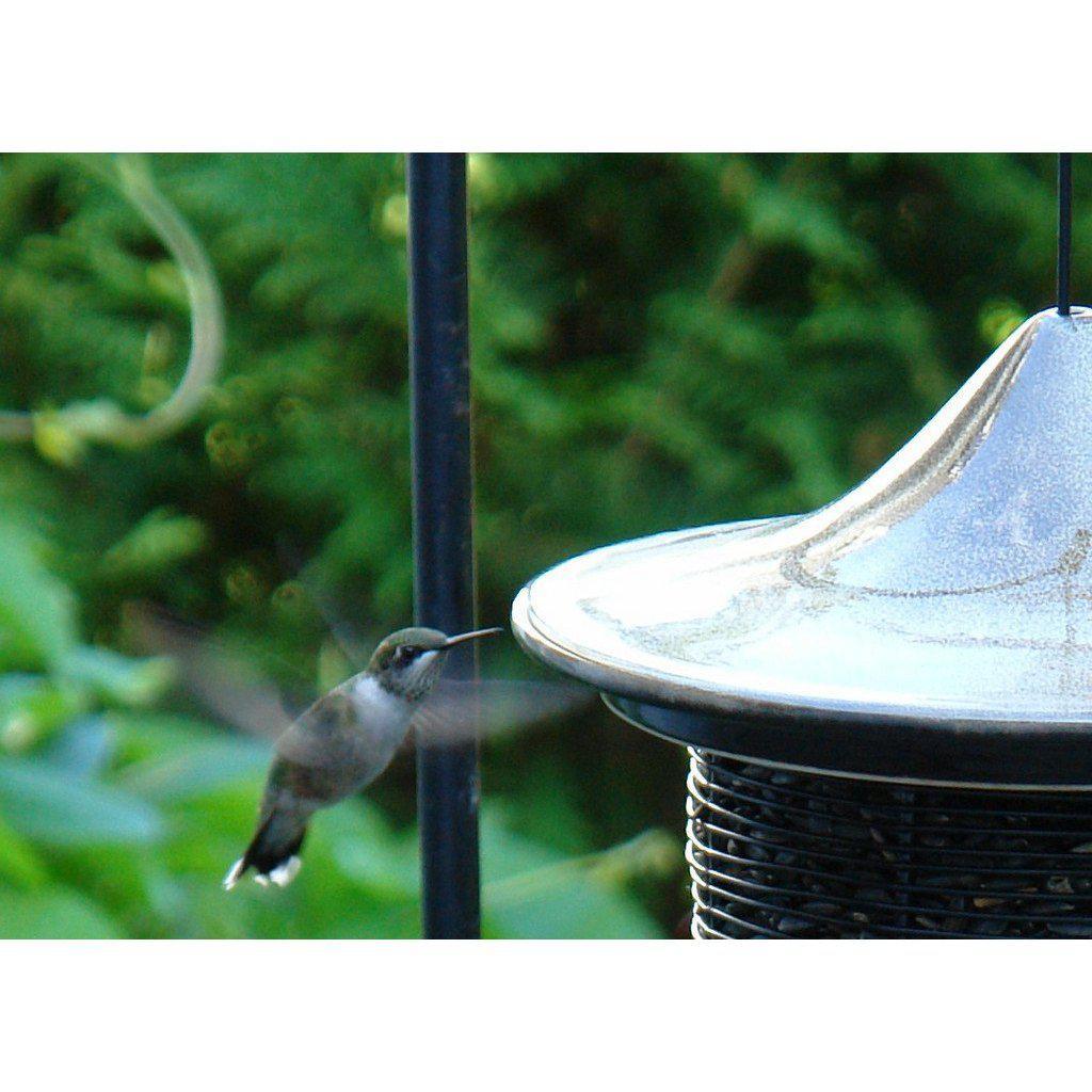 Byer of Maine Pagoda Bird Feeder