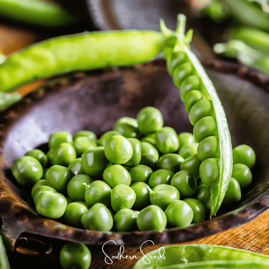 Southern Seeds Early Frosty Peas – 25 Seeds | Heirloom Boulevard