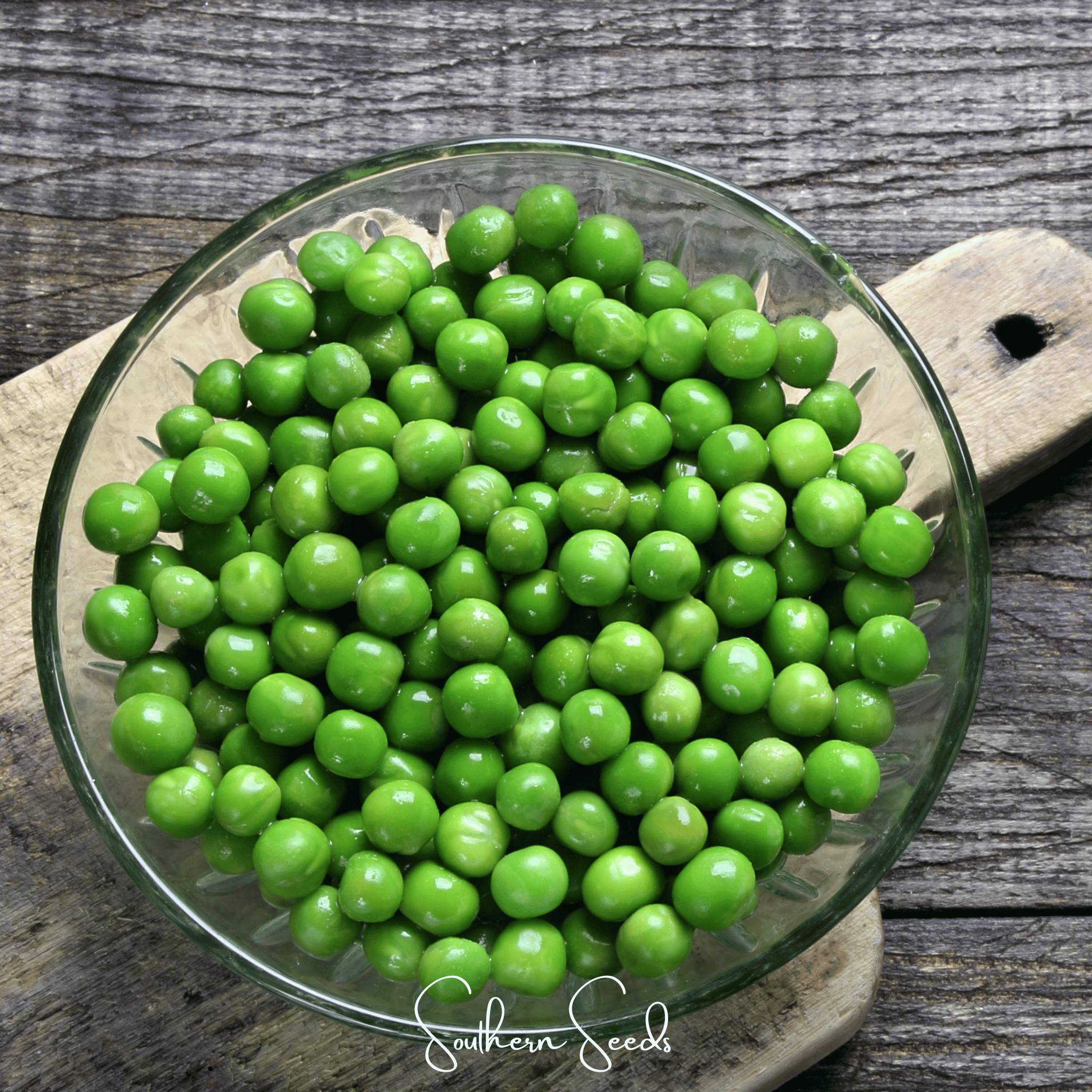 Southern Seeds Early Frosty Peas – 25 Seeds | Heirloom Boulevard