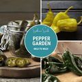 Southern Seeds Pepper Seed Collection – 6 Essential Heirloom Peppers | Heirloom Boulevard