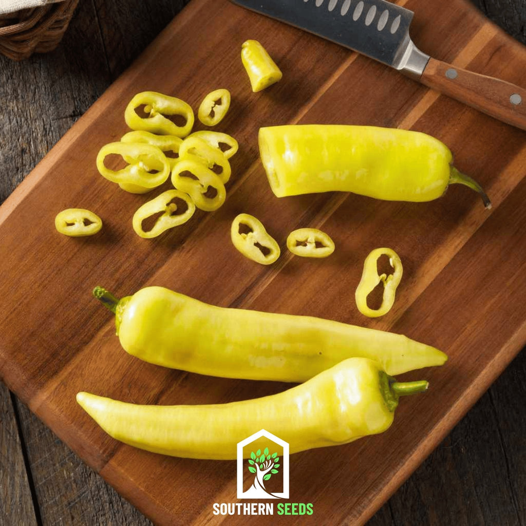 Southern Seeds Pepper Seed Collection – 6 Essential Heirloom Peppers | Heirloom Boulevard