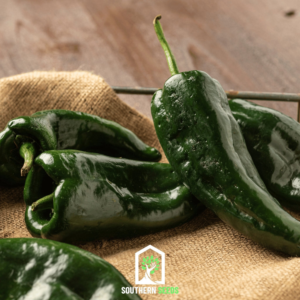 Southern Seeds Pepper Seed Collection – 6 Essential Heirloom Peppers | Heirloom Boulevard