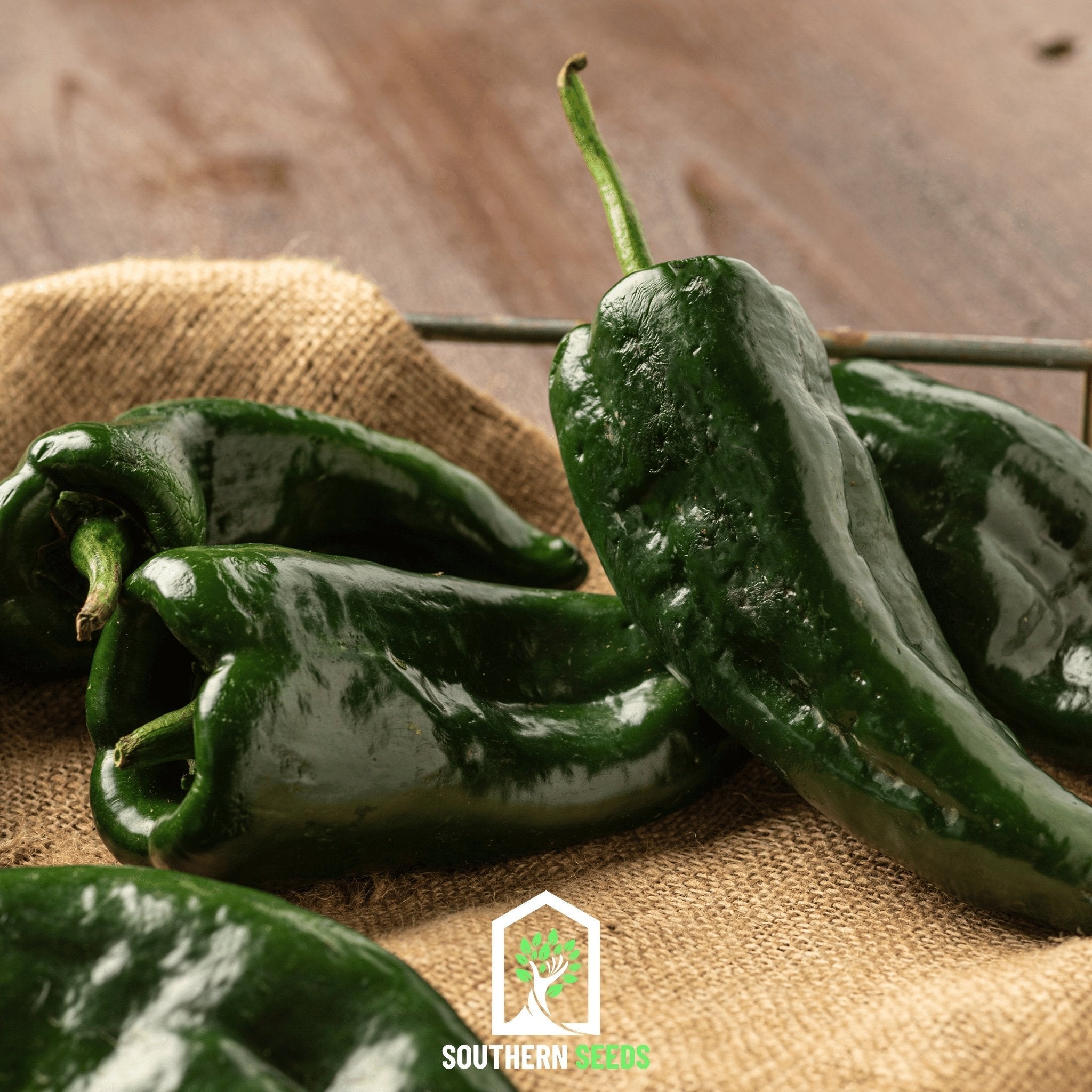 Southern Seeds Pepper Seed Collection – 6 Essential Heirloom Peppers | Heirloom Boulevard