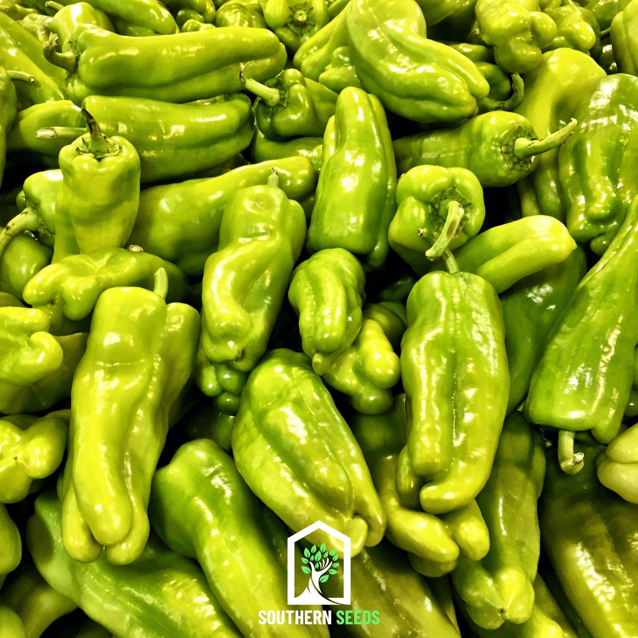 Southern Seeds Pepper Seed Collection – 6 Essential Heirloom Peppers | Heirloom Boulevard