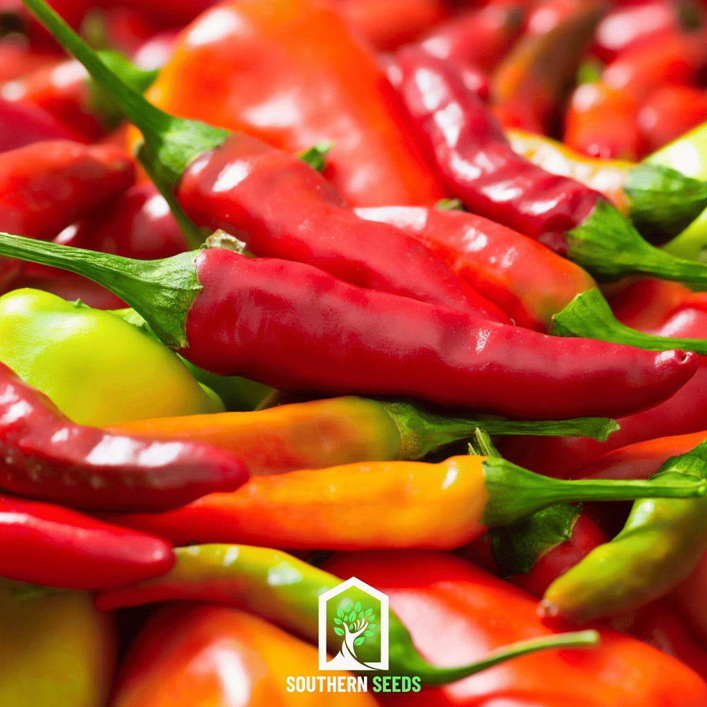 Southern Seeds Pepper Seed Collection – 6 Essential Heirloom Peppers | Heirloom Boulevard