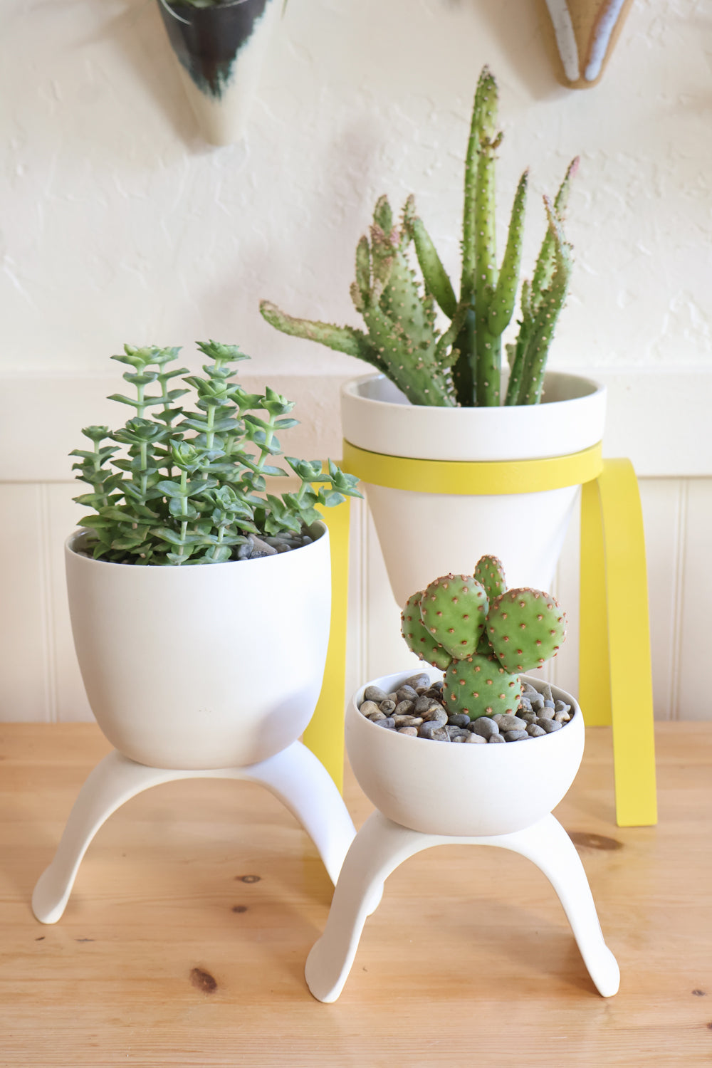 Carter + Rose High Rise Plant Pots Carter + Rose | Heirloom Boulevard