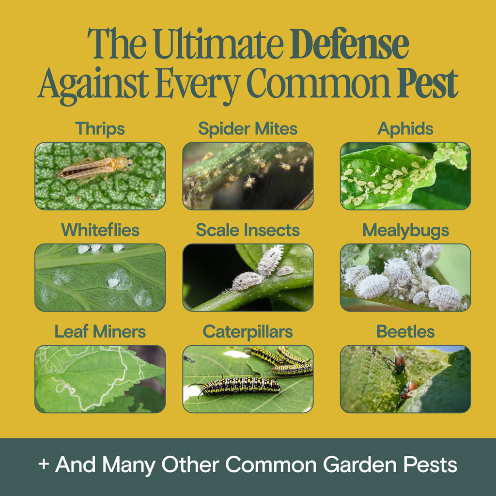Arber Organic Bio Insecticide | Heirloom Boulevard
