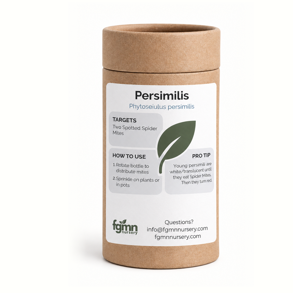 FGMN Nursery Phytoseiulus persimilis | Heirloom Boulevard