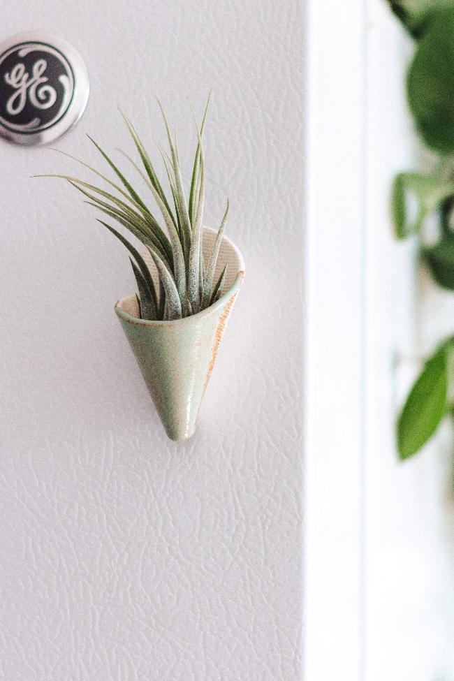 Carter + Rose Wall Planter, Magnet Collection Pistachio | Heirloom Boulevard
