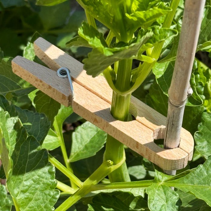 Plant Clamps - Replacement for Ties | Heirloom Boulevard
