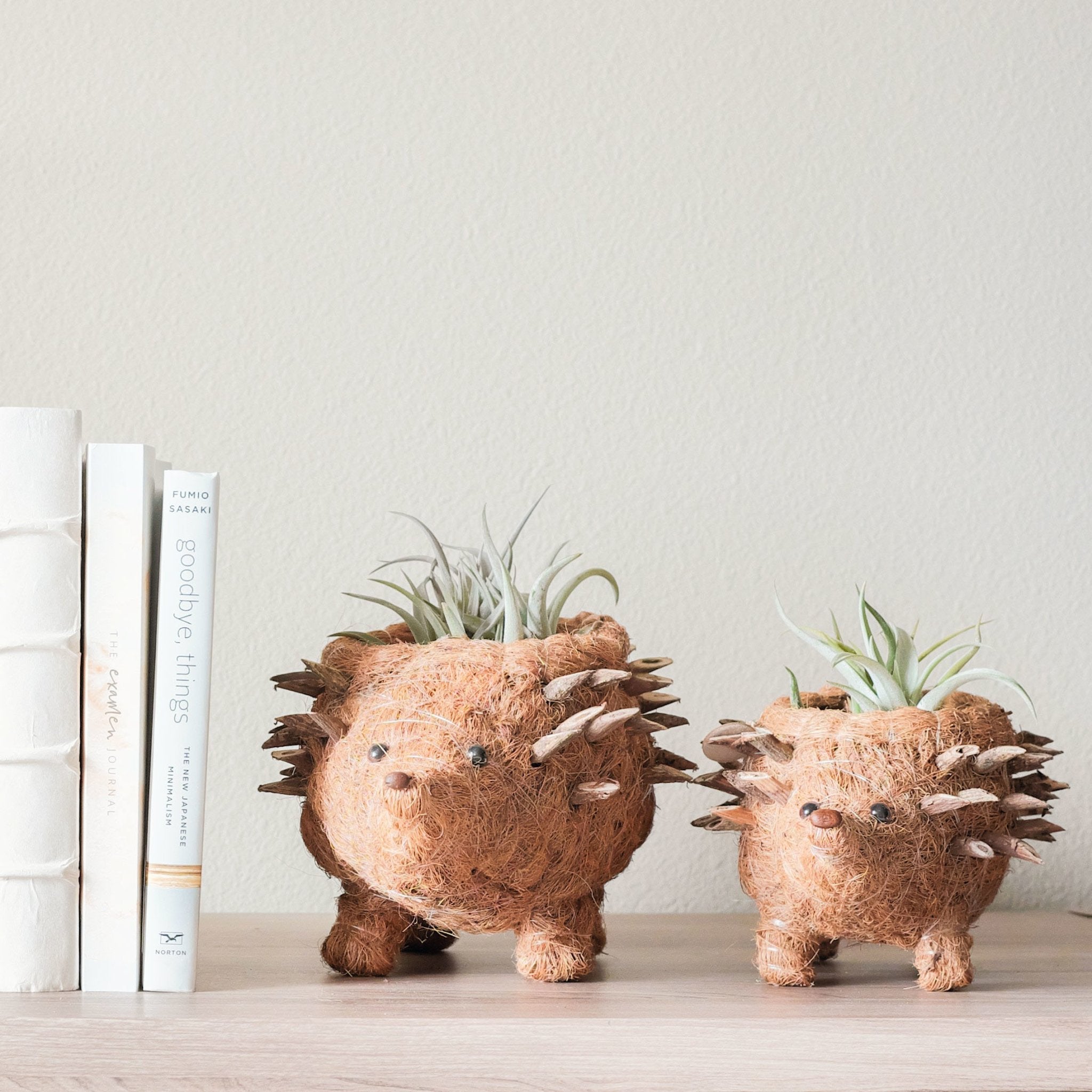 LIKHÂ Baby Hedgehog Plant Pot - Handmade Planters | LIKHÂ