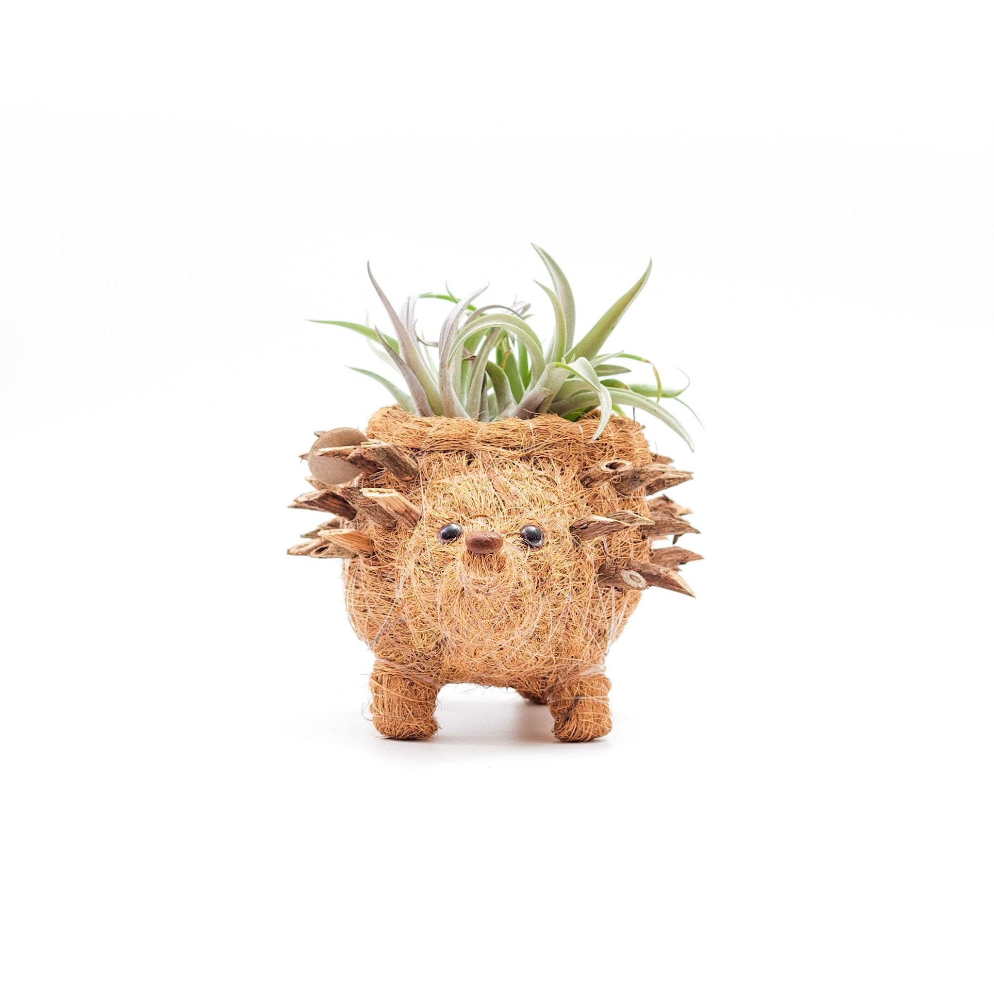 LIKHÂ Baby Hedgehog Plant Pot - Handmade Planters | LIKHÂ