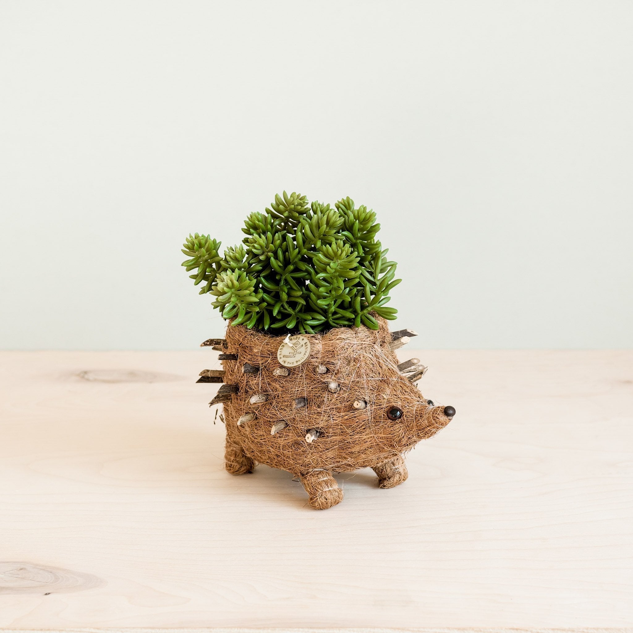 LIKHÂ Baby Hedgehog Plant Pot - Handmade Planters | LIKHÂ