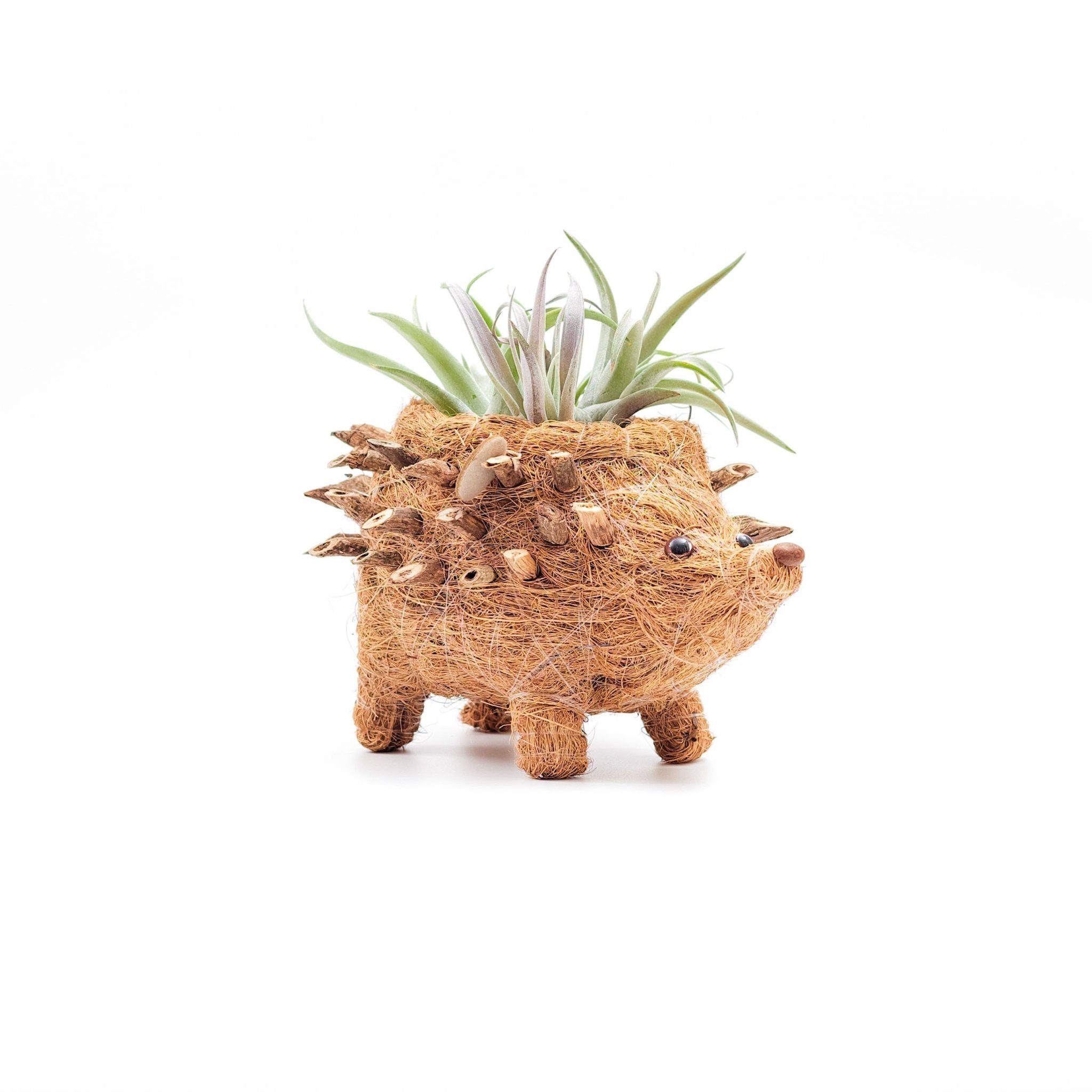 LIKHÂ Baby Hedgehog Plant Pot - Handmade Planters | LIKHÂ
