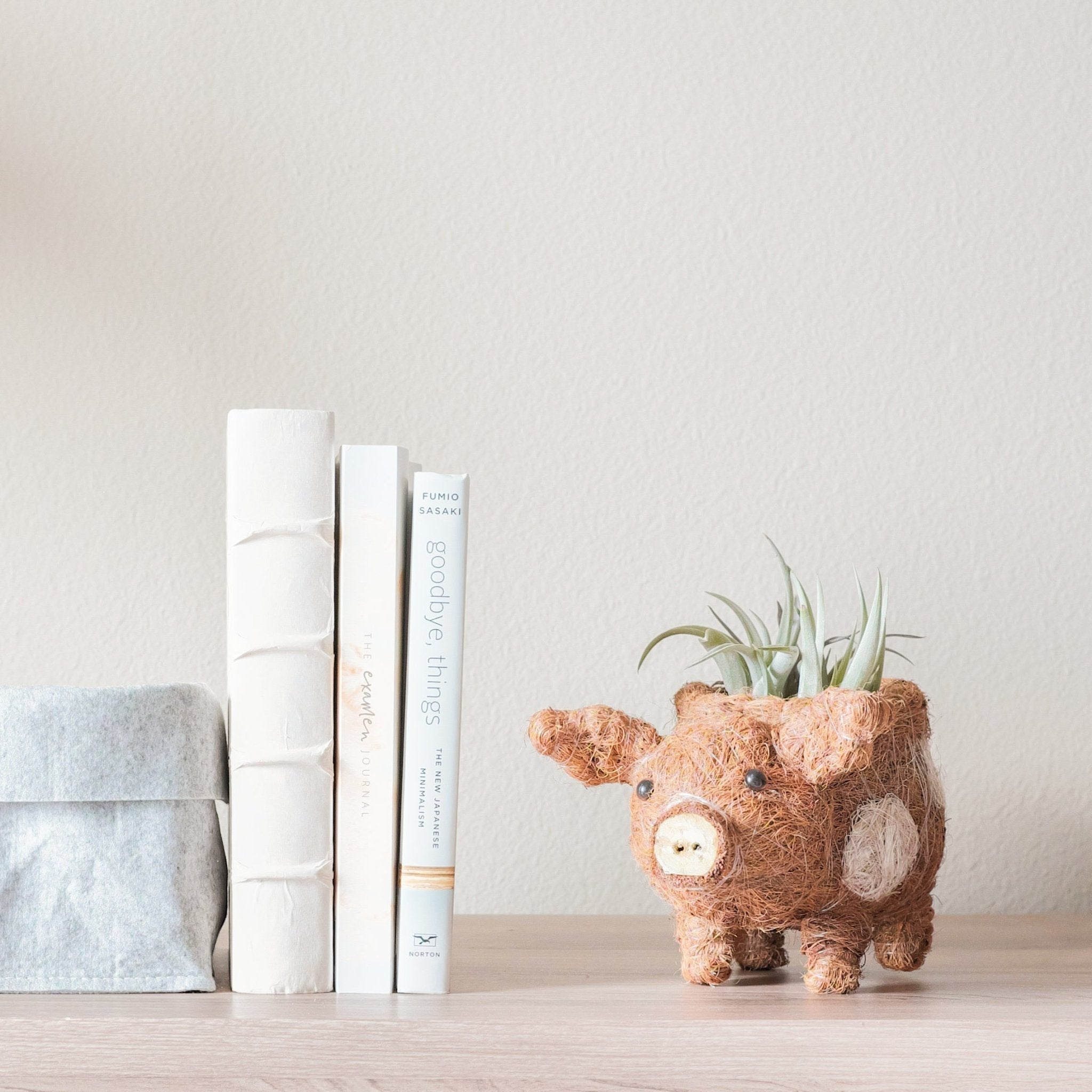 LIKHÂ Baby Pig Succulent Pot - Handmade Planters | LIKHÂ