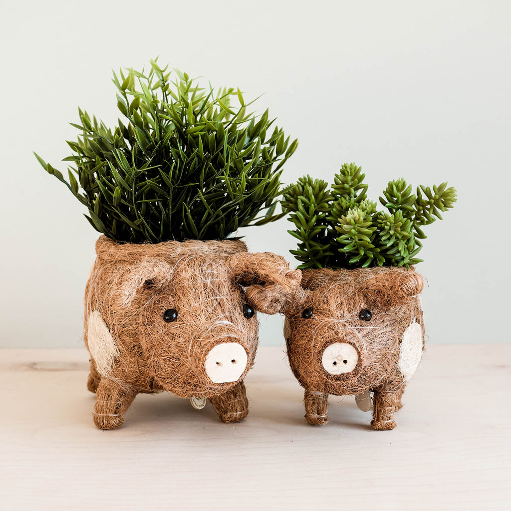 LIKHÂ Baby Pig Succulent Pot - Handmade Planters | LIKHÂ