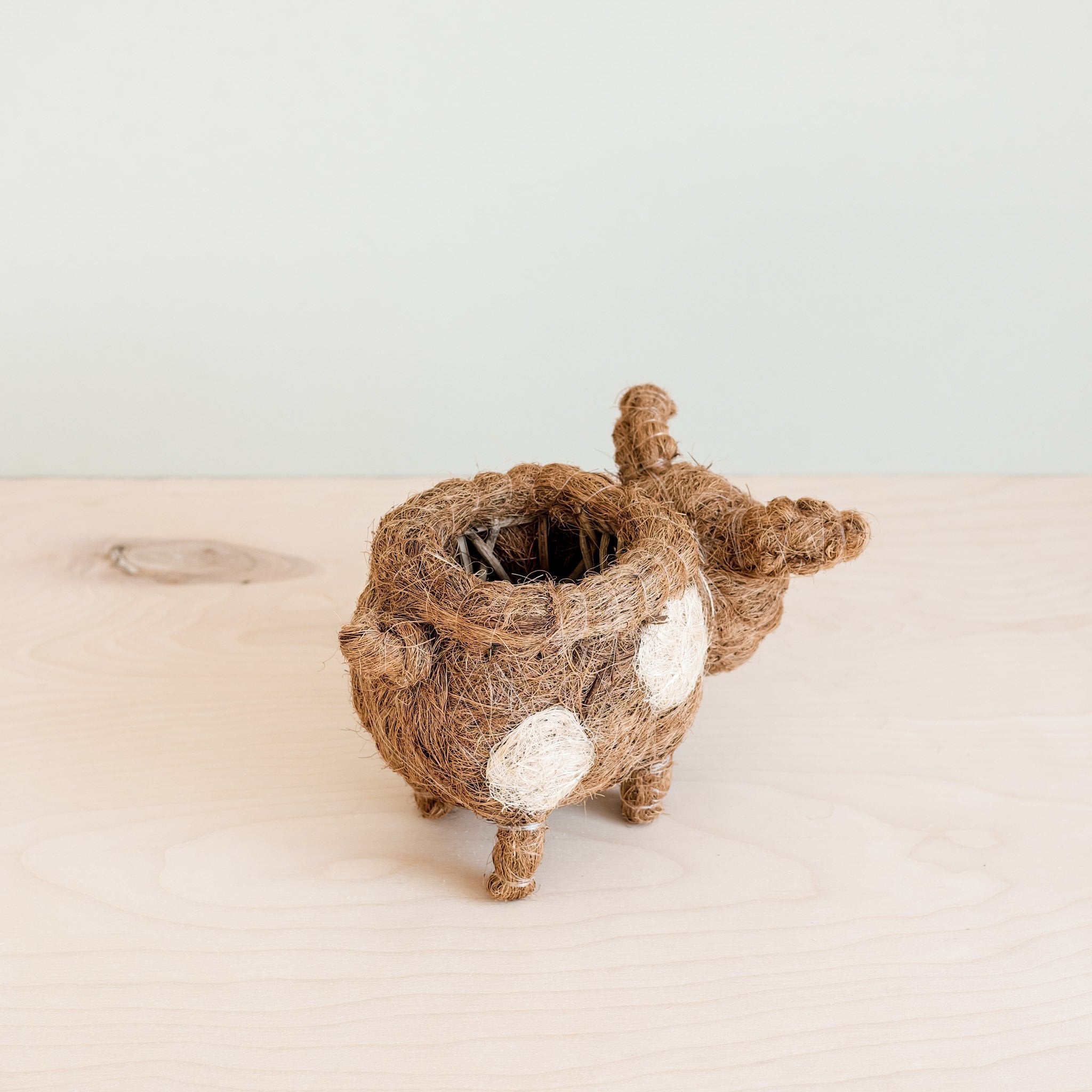 LIKHÂ Baby Pig Succulent Pot - Handmade Planters | LIKHÂ