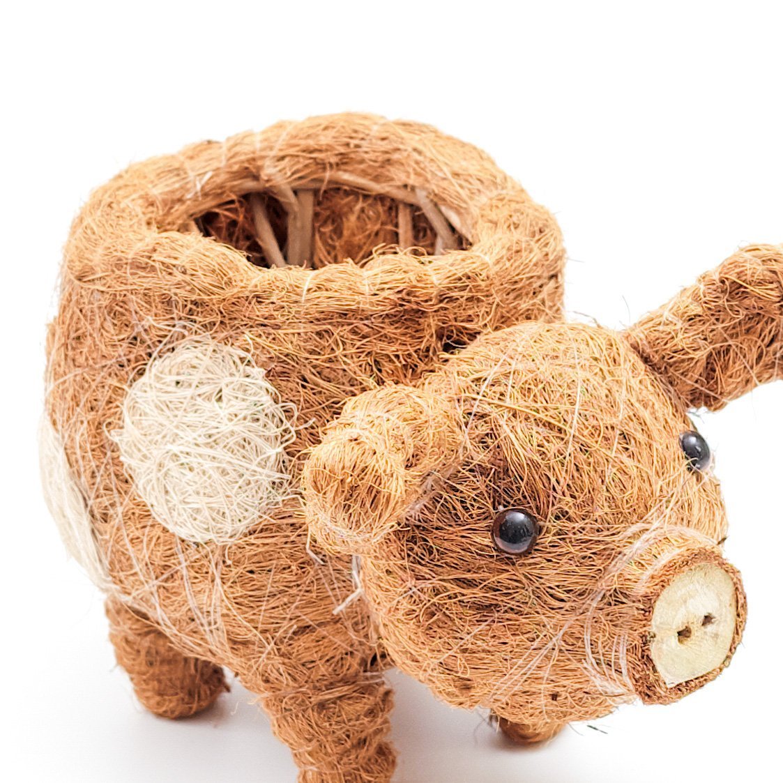 LIKHÂ Baby Pig Succulent Pot - Handmade Planters | LIKHÂ