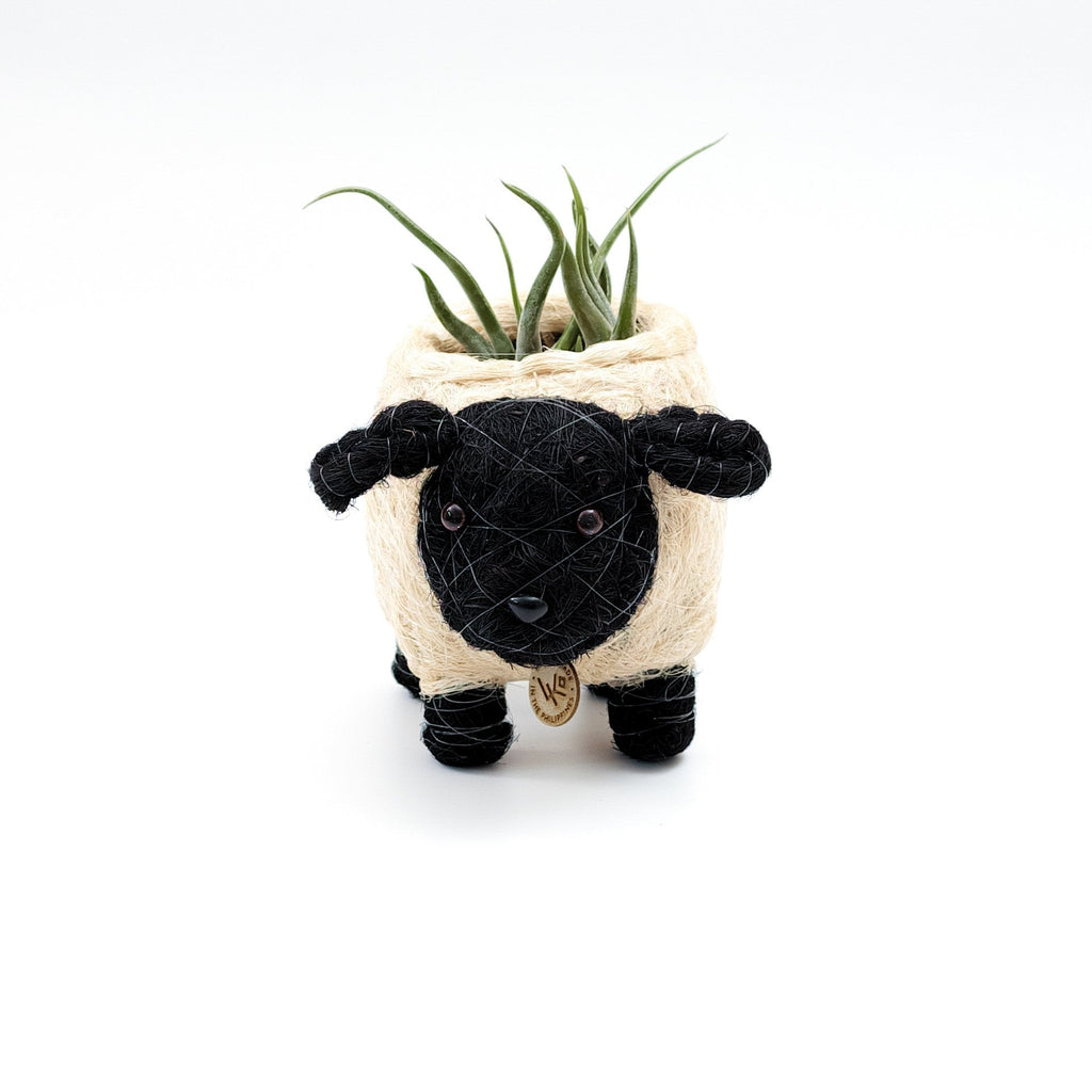 LIKHÂ Baby Sheep Planter - Coco Coir Pots | LIKHÂ