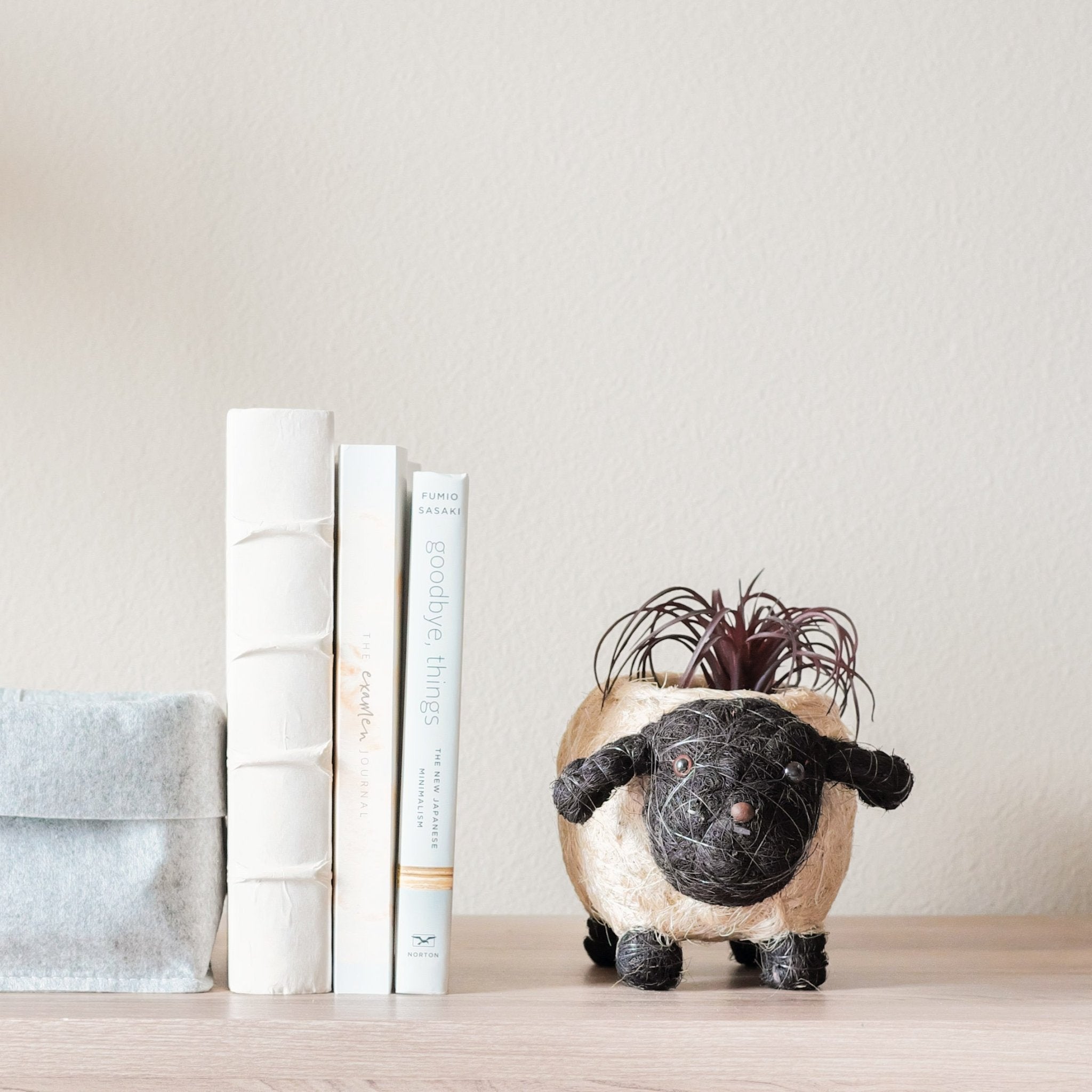 LIKHÂ Baby Sheep Planter - Coco Coir Pots | LIKHÂ