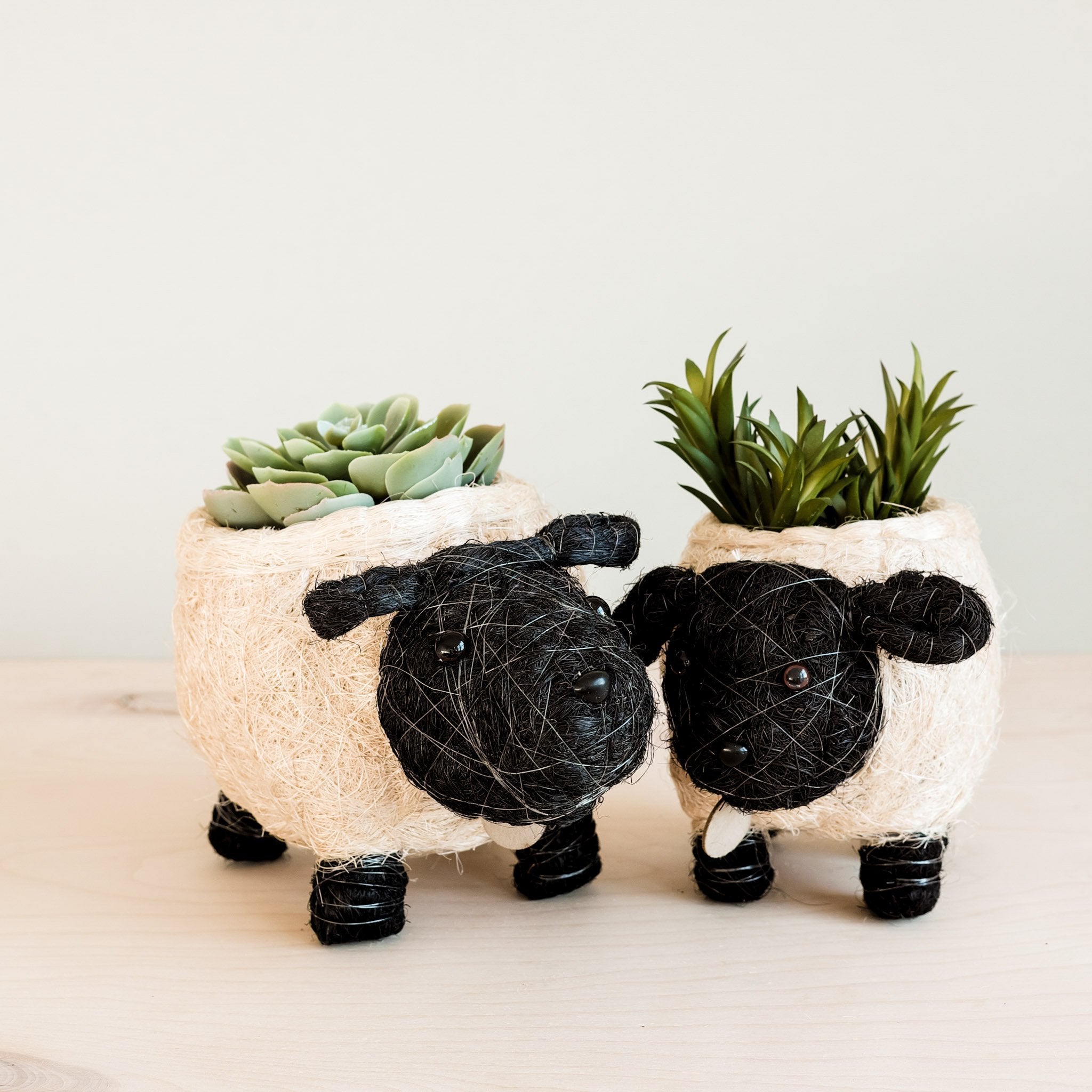 LIKHÂ Baby Sheep Planter - Coco Coir Pots | LIKHÂ