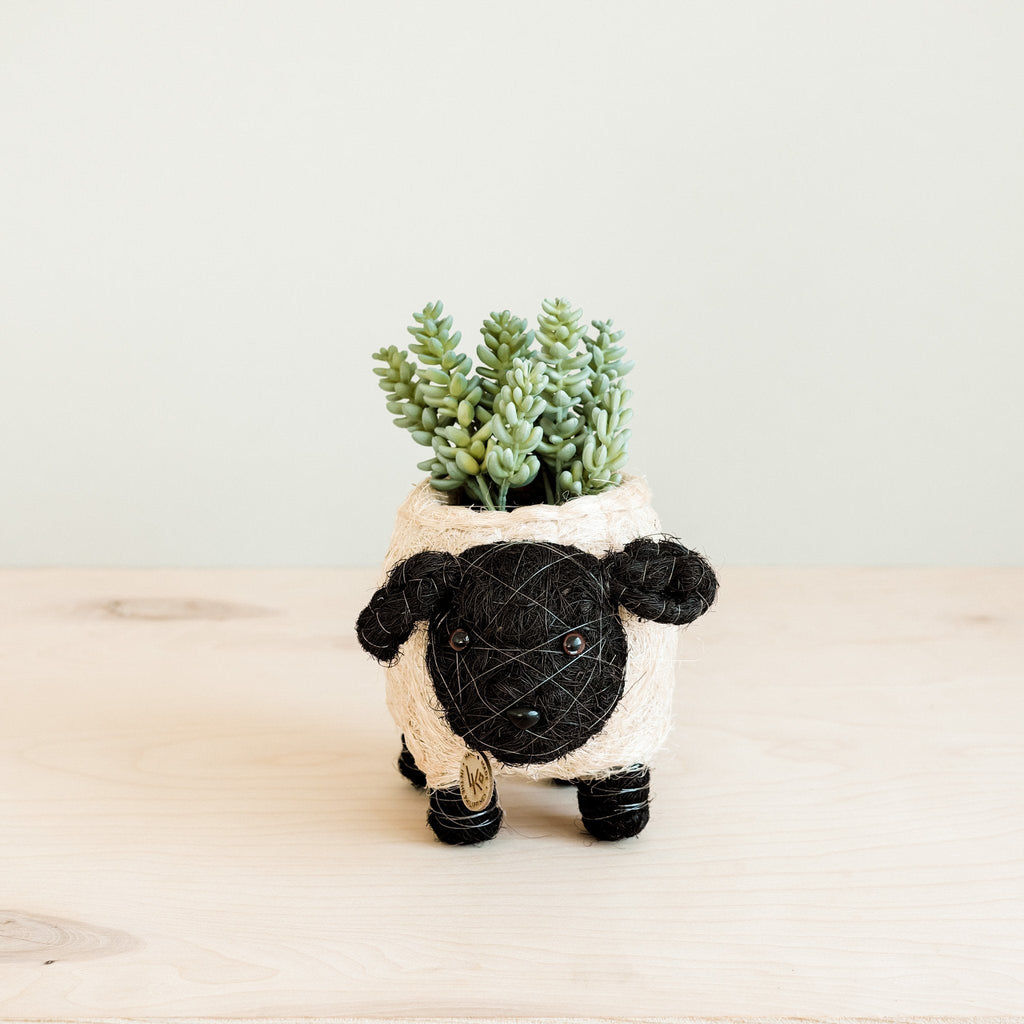 LIKHÂ Baby Sheep Planter - Coco Coir Pots | LIKHÂ