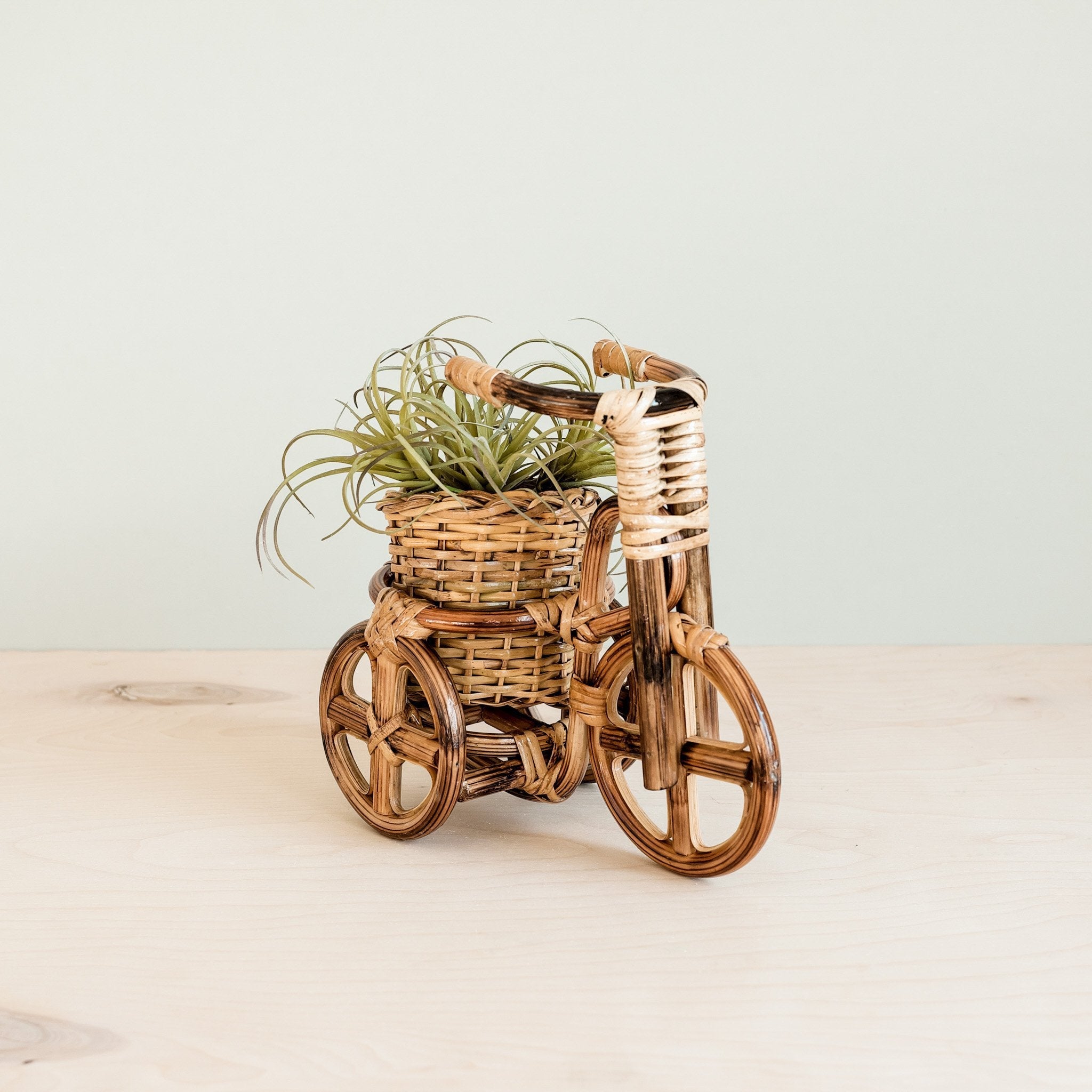 LIKHÂ Bicycle Rattan Planter, medium - Handmade Planters | LIKHÂ