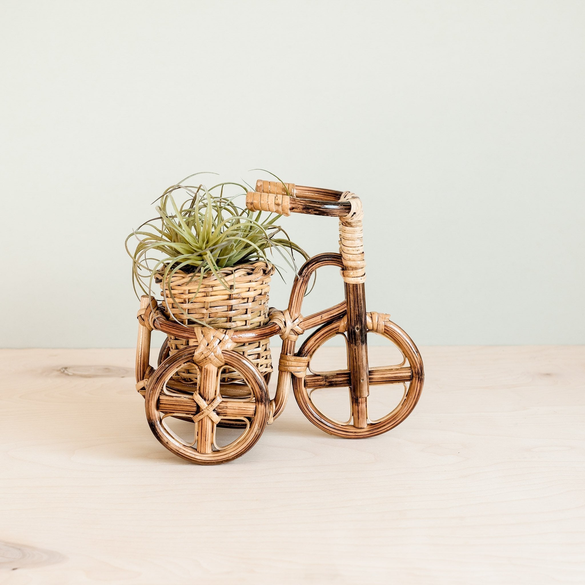 LIKHÂ Bicycle Rattan Planter, medium - Handmade Planters | LIKHÂ