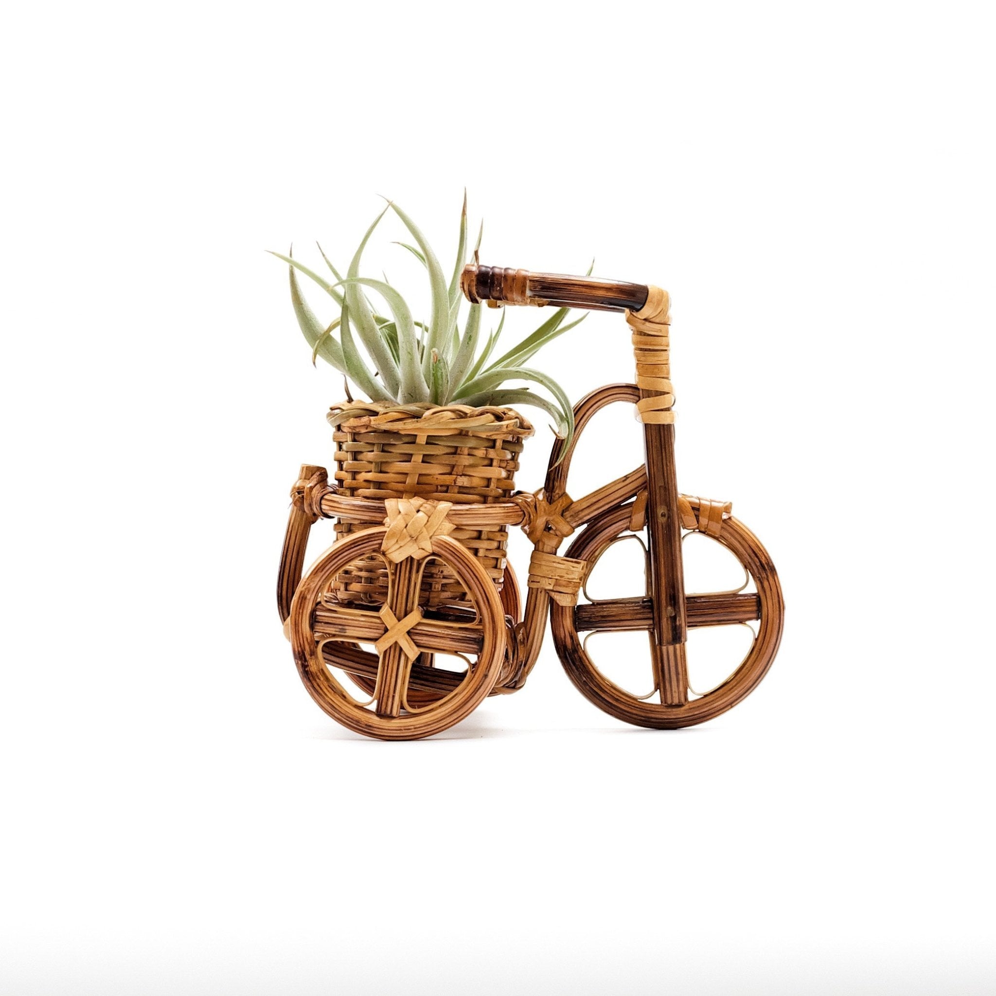 LIKHÂ Bicycle Rattan Planter, small - Handmade Planters | LIKHÂ